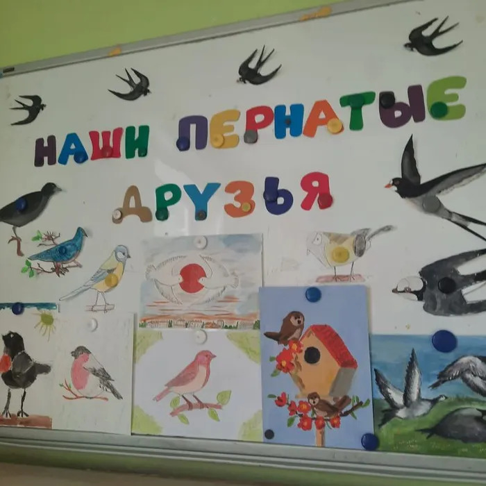 "Наши пернатые друзья"